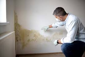 Why You Should Choose Our Mold Remediation Services in Strawberry, CA